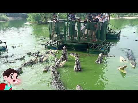 15 Most Dangerous Tourist Destinations In The World