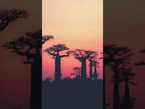 Beautiful Destinations Around the World #shorts #travel #world