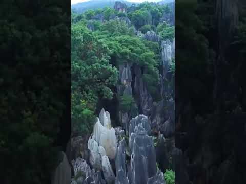 Yunnan Stone Forest: The best scenic destinations around the world #travel #shorts #youtubeshorts