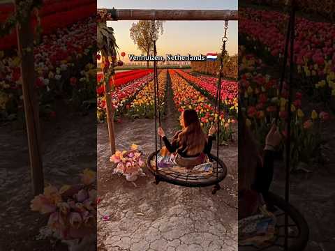 Places On Earth That Don't Feel Real #travel #tiktok #shorts #explore #fyp #relaxing #nature