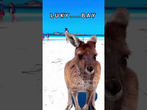 Places On Earth That Don't Feel Real  #shorts #travel #tiktok #explore #fyp #destination