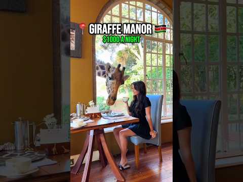 Hotels On Earth That Don’t Feel Real! #shorts #hotels #travel