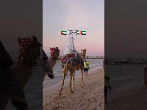 RICHEST Countries In The World #travel #destinations #shorts