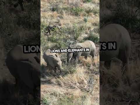 World's Most Breathtaking Destinations: From Santorini to Salar de Uyuni