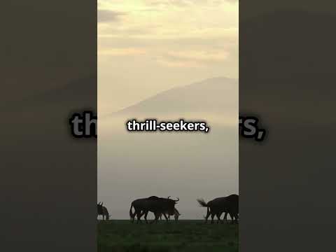 Top 10 Must-Visit Tourist Destinations in the World!