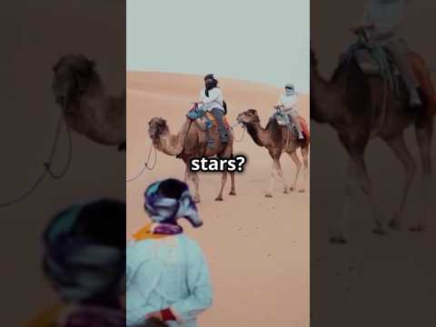 5 Best Places to Visit in Morocco #travel #places #history #5places #traveldestinations #morocco