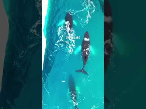 Must-Visit Destinations for 2025! 🌍 Where's Next on Your List?" ✈️📍